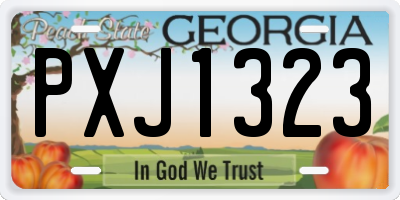 GA license plate PXJ1323