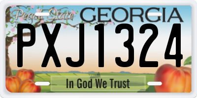 GA license plate PXJ1324