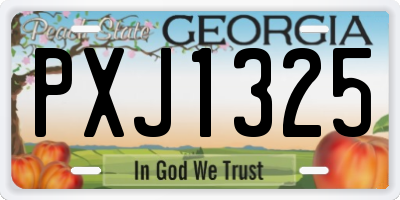 GA license plate PXJ1325