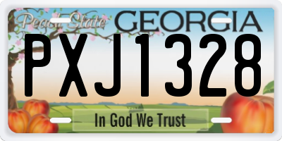GA license plate PXJ1328