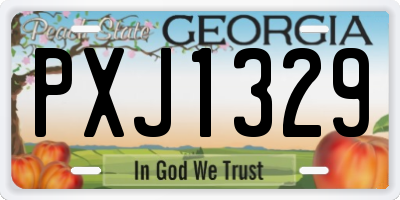 GA license plate PXJ1329