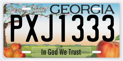 GA license plate PXJ1333