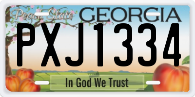 GA license plate PXJ1334