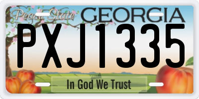 GA license plate PXJ1335