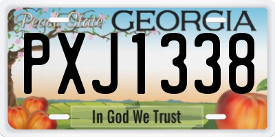 GA license plate PXJ1338