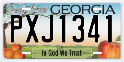 GA license plate PXJ1341