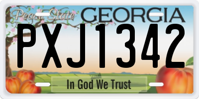 GA license plate PXJ1342