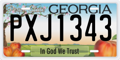 GA license plate PXJ1343
