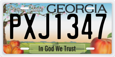 GA license plate PXJ1347