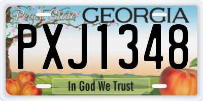 GA license plate PXJ1348