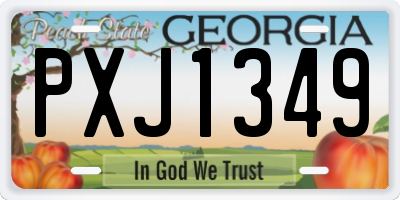 GA license plate PXJ1349