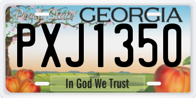 GA license plate PXJ1350