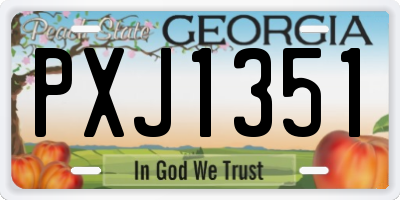 GA license plate PXJ1351