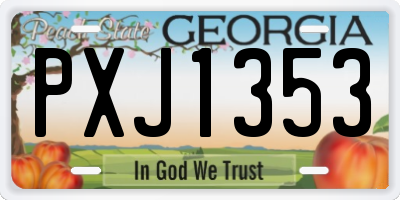 GA license plate PXJ1353