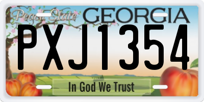 GA license plate PXJ1354