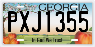 GA license plate PXJ1355