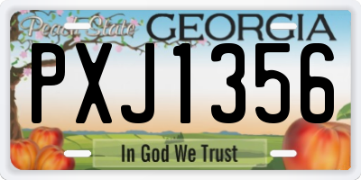 GA license plate PXJ1356