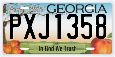 GA license plate PXJ1358