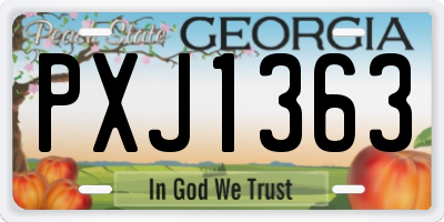 GA license plate PXJ1363