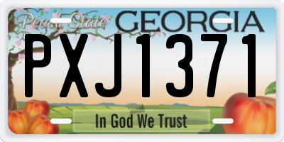 GA license plate PXJ1371