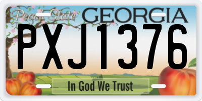 GA license plate PXJ1376