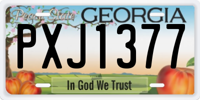 GA license plate PXJ1377