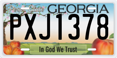 GA license plate PXJ1378