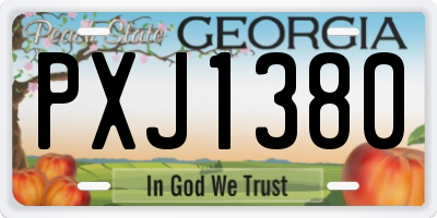 GA license plate PXJ1380