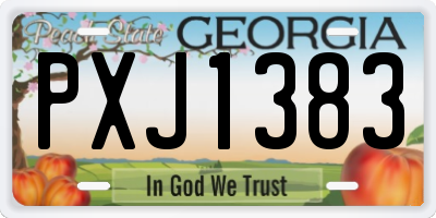 GA license plate PXJ1383