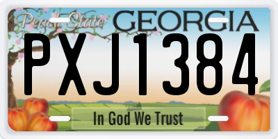 GA license plate PXJ1384