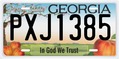 GA license plate PXJ1385