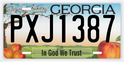 GA license plate PXJ1387