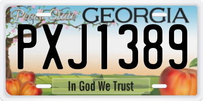 GA license plate PXJ1389