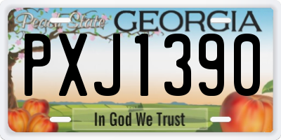 GA license plate PXJ1390