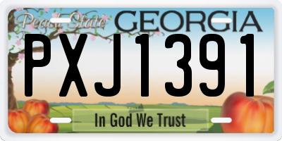 GA license plate PXJ1391