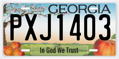 GA license plate PXJ1403