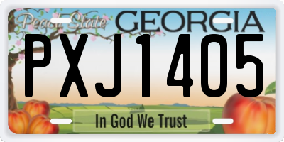 GA license plate PXJ1405