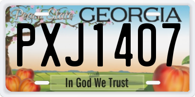 GA license plate PXJ1407