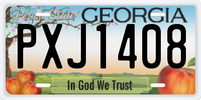 GA license plate PXJ1408
