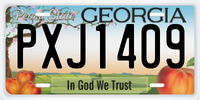 GA license plate PXJ1409