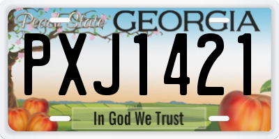 GA license plate PXJ1421