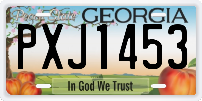 GA license plate PXJ1453