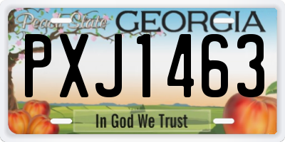 GA license plate PXJ1463