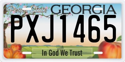 GA license plate PXJ1465
