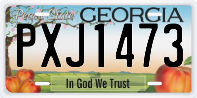 GA license plate PXJ1473