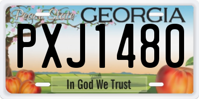GA license plate PXJ1480