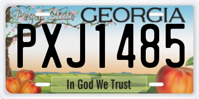 GA license plate PXJ1485