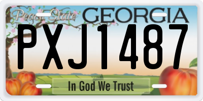 GA license plate PXJ1487