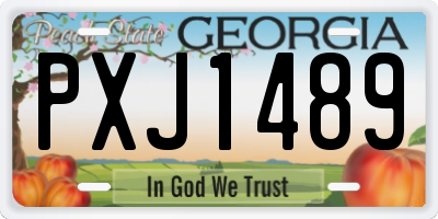 GA license plate PXJ1489