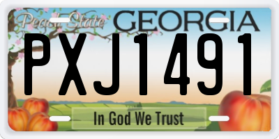 GA license plate PXJ1491